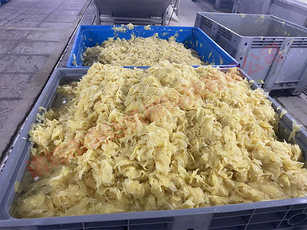 姜片清洗加工设备